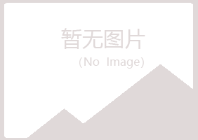 鱼台县晓夏服务有限公司